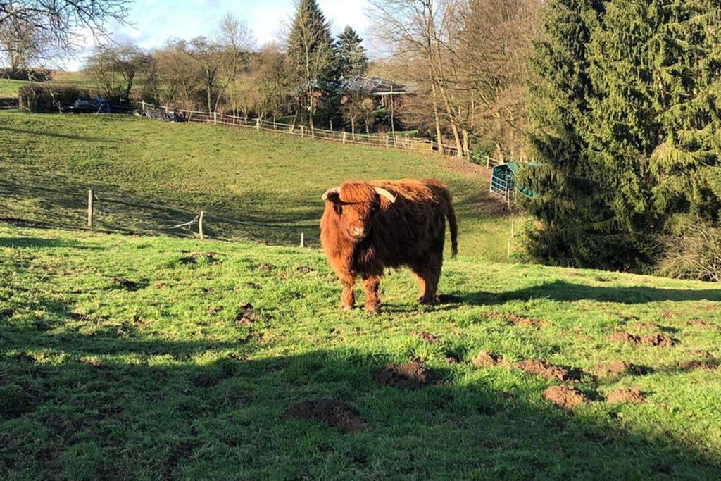 Ferienwohnung Und Monteurwohnung Matthies Naehe Koeln 30Km Kürten Esterno foto